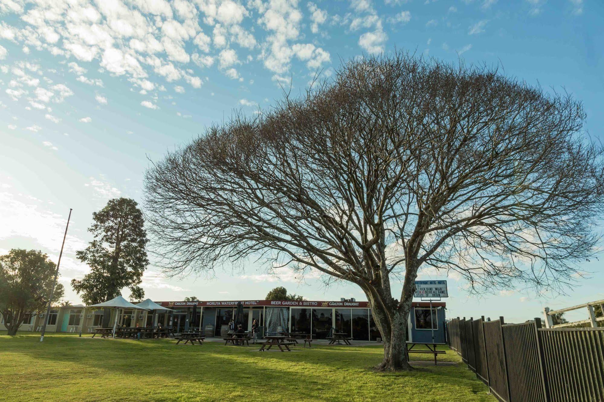 Moruya Waterfront Hotel Motel エクステリア 写真